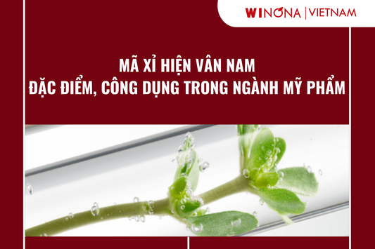 MÃ XỈ HIỆN VÂN NAM: ĐẶC ĐIỂM, CÔNG DỤNG TRONG NGÀNH MỸ PHẨM