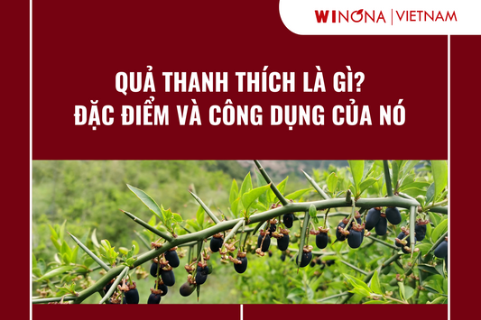 Quả thanh thích là gì – Đặc điểm và công dụng của nó