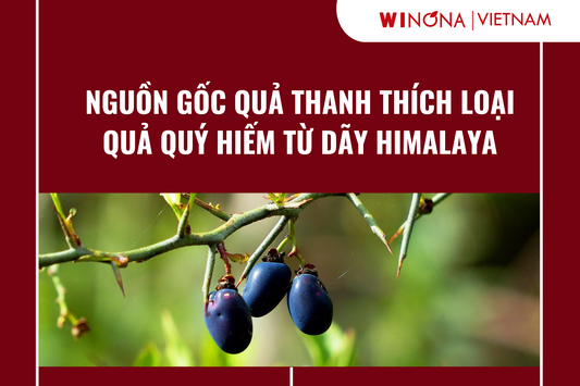 Nguồn gốc quả thanh thích – Loại quả quý hiếm từ dãy Himalaya