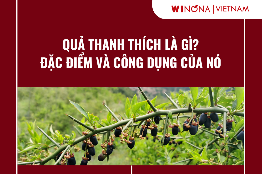 Quả thanh thích là gì &#8211; Đặc điểm và công dụng của nó