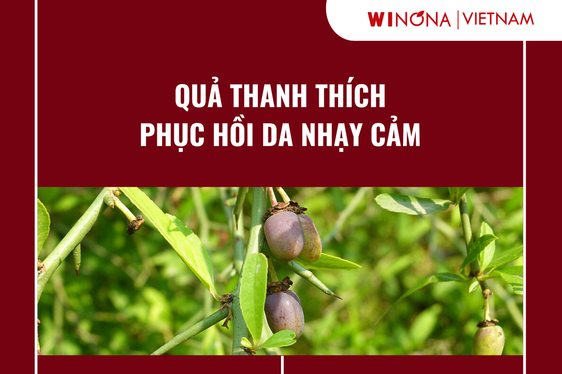 Quả thanh thích phục hồi da nhạy cảm