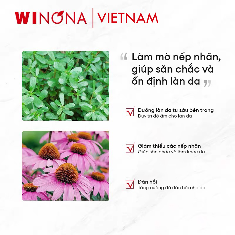 Kem Dưỡng Săn Chắc Da Và Giảm Nếp Nhăn Winona