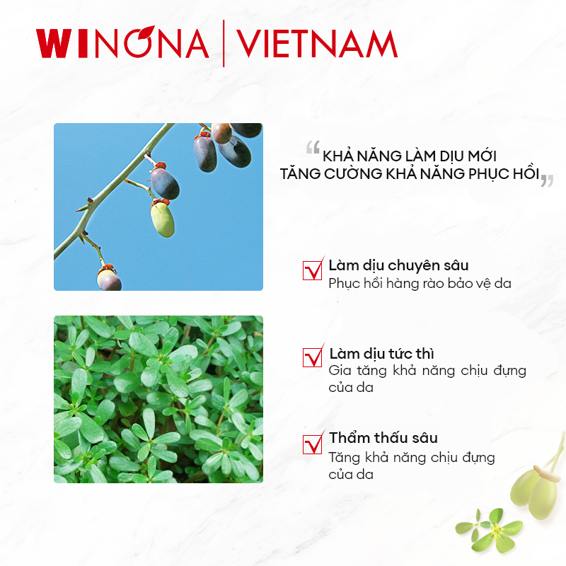 Tinh Chất Phục Hồi Dưỡng Ẩm Làm Dịu Winona