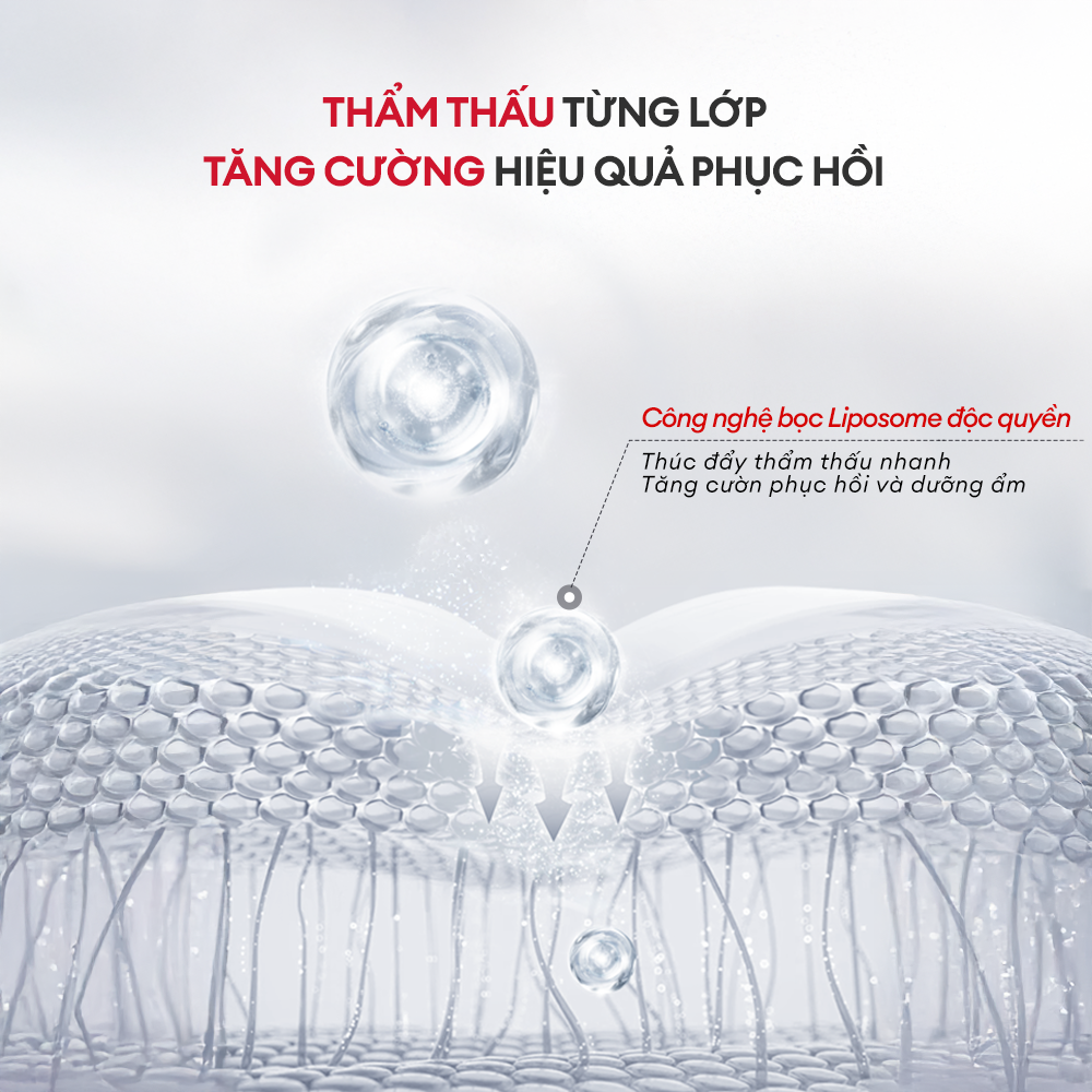 LOTION CẤP ẨM VÀ PHỤC HỒI HÀNG RÀO BẢO VỆ DA