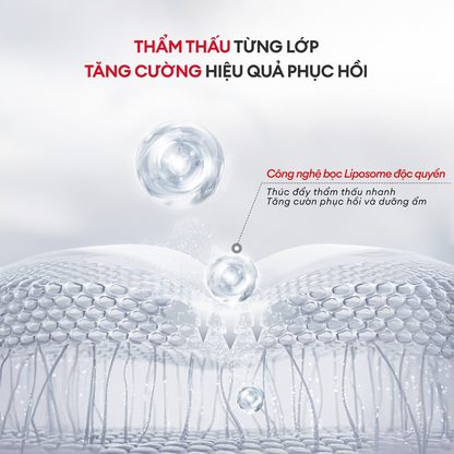 LOTION CẤP ẨM VÀ PHỤC HỒI HÀNG RÀO BẢO VỆ DA