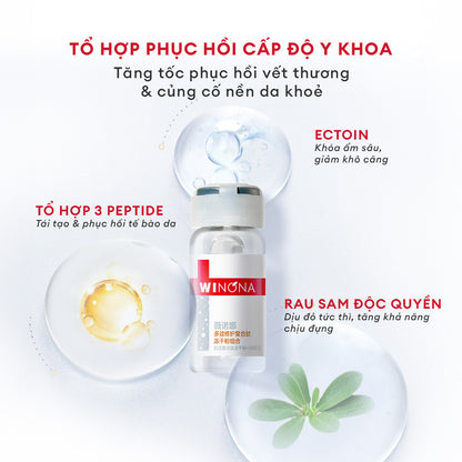 BỘT PEPTIDE ĐÔNG KHÔ VÀ DUNG DỊCH HOẠT HÓA PHỤC HỒI DA ĐA TẦNG