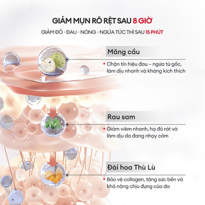 Mặt Nạ Đông Khô Phục Hồi Làm Dịu Da Winona