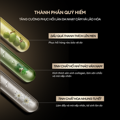 KEM DƯỠNG NÂNG CƠ