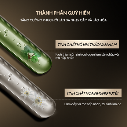 TINH CHẤT LÀM ĐẦY NẾP NHĂN